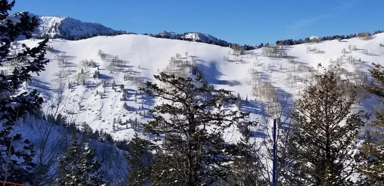 Stunning At Solitude, Steps From Chair Lift, East #103 Brighton Экстерьер фото